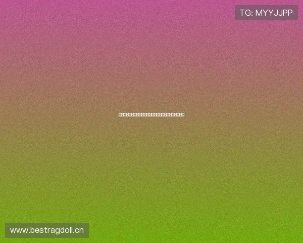 体育第一直播在线观看平台全面升级精彩赛事实时直播服务